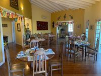 WhatsApp Image 2025-06-13 at 13.13.15 (1)